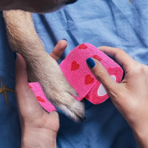 Pet Dog Cat Medical Breathable Elastic Bandage Non-woven Pet Self Adherent Wound Outdoor Retractable Sports Tape Dog Accessories